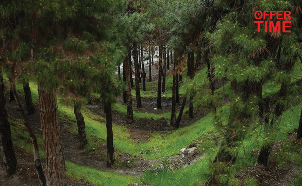 پارک جنگلی لویزان