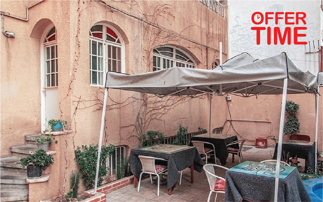 کافه موزه گربه ایرانی